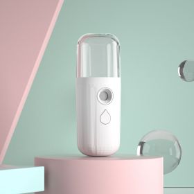 Steam Face Cold Spray Mini Portable Charging Mini Face Humidifier (Option: White-USB)